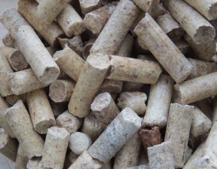 BIOMASS BUSINESS